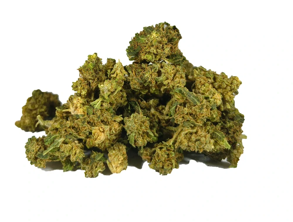 Technické konopí - AMNESIA - GLASSHOUSE - SMALL BUDS k dalšímu zpracování - balení 15g