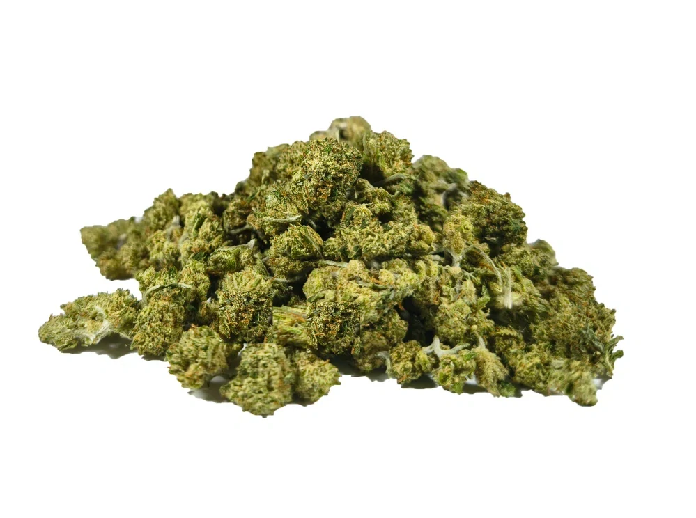 Technické konopí - HAZELNUT - GLASSHOUSE - SMALL BUDS k dalšímu zpracování - balení 50g