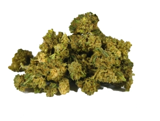 Technické konopí - AMNESIA - GLASSHOUSE - SMALL BUDS k dalšímu zpracování - balení 100g