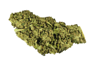 Technické konopí - Mix různých druhů - GLASSHOUSE k dalšímu zpracování - balení 100g