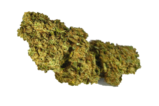 Technické konopí - GRAPEFRUIT - GLASSHOUSE k dalšímu zpracování - balení 10g