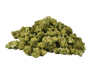 Technické konopí - HAZELNUT - GLASSHOUSE - SMALL BUDS k dalšímu zpracování - balení 50g